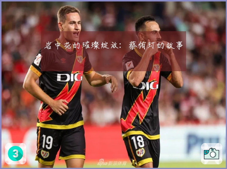 岩中花的璀璨绽放：蔡侑玎的故事