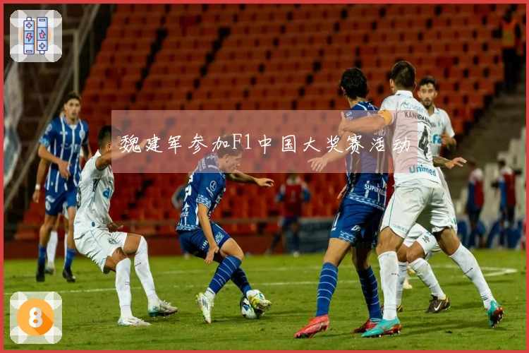 魏建军参加F1中国大奖赛活动