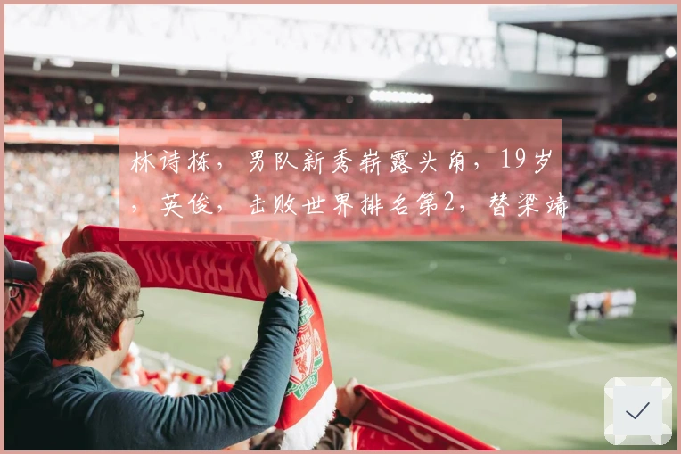 林诗栋，男队新秀崭露头角，19岁，英俊，击败世界排名第2，替梁靖崑报仇